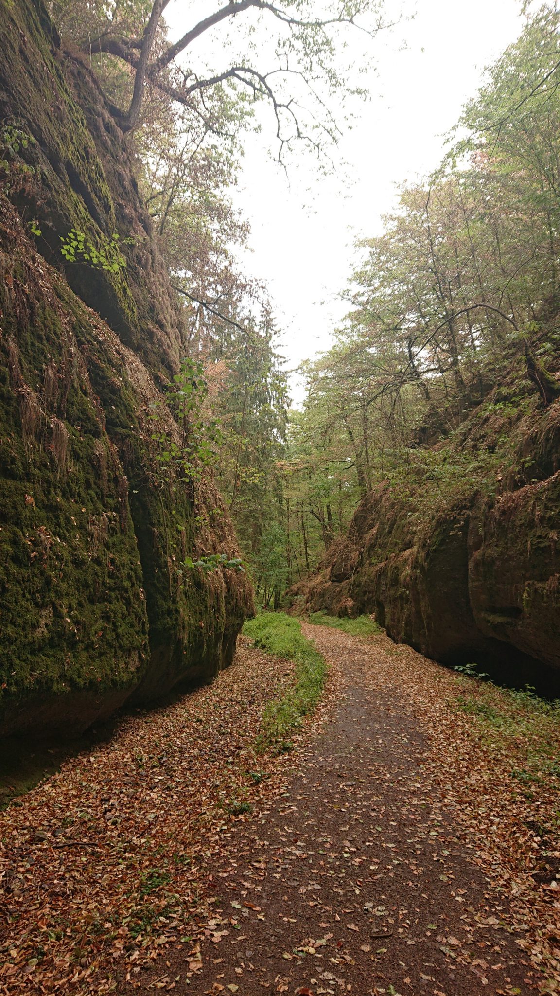 Drachenschlucht und Landgrafenschlucht - Schluchtentour bei Eisenach wandern, schmale Wege und schöner Wald