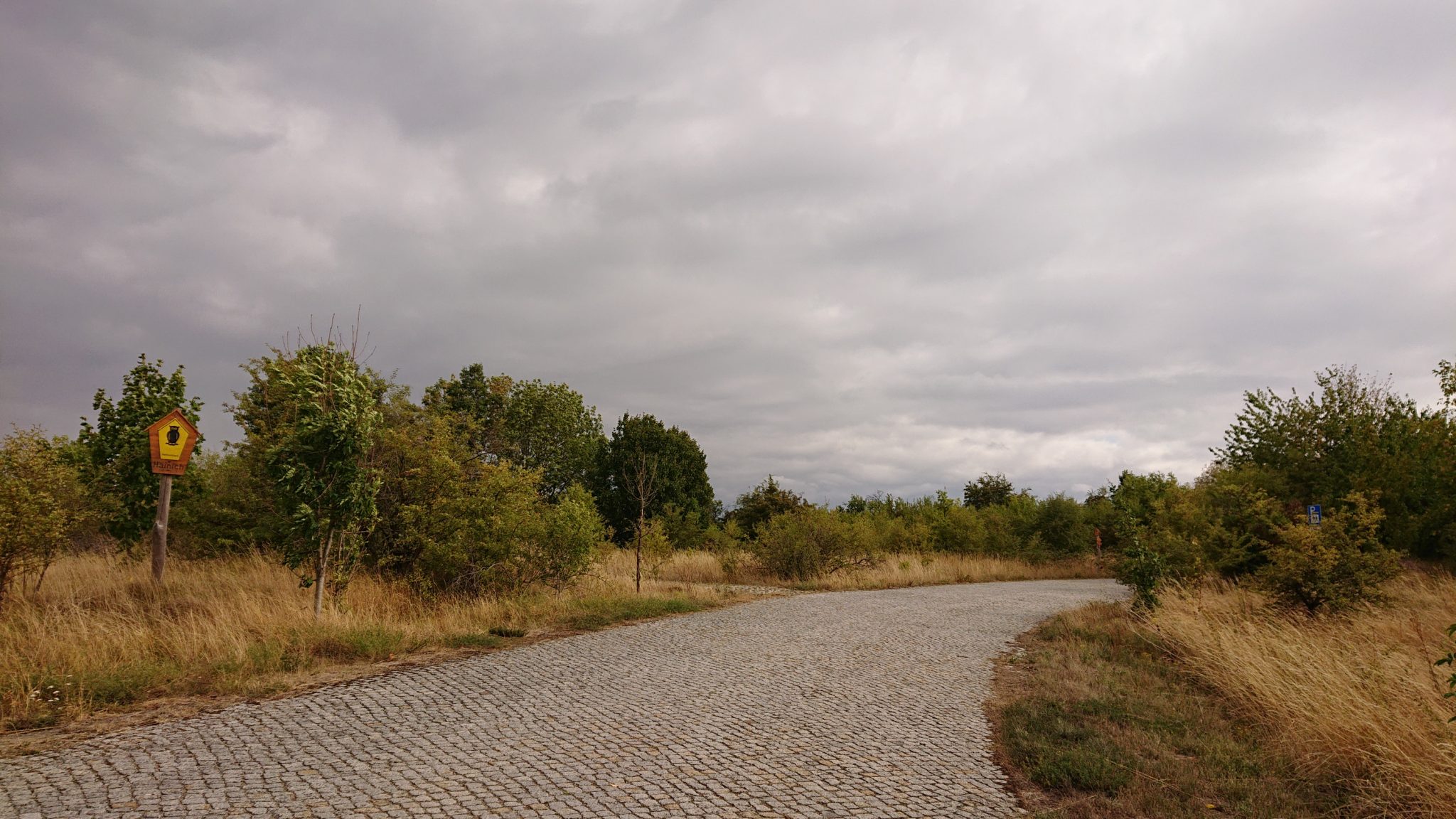 Nationalpark Hainich Saugrabenweg und Betteleichenweg wandern, letzter Wegabschnitt leider an Straße entlang, aber eigentlich kein Verkehr