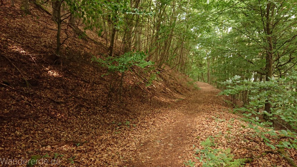 Urwaldsteig von Hemfurth nach Bringhausen zur Jausenstation, Nationalpark Kellerwald Edersee, naturbelassener Pfad im schönen Wald