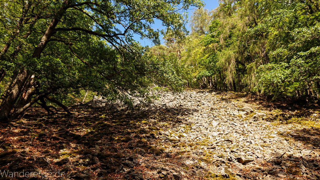 Urwaldsteig von Hemfurth nach Bringhausen zur Jausenstation, Nationalpark Kellerwald Edersee, naturbelassener Pfad im schönen Wald