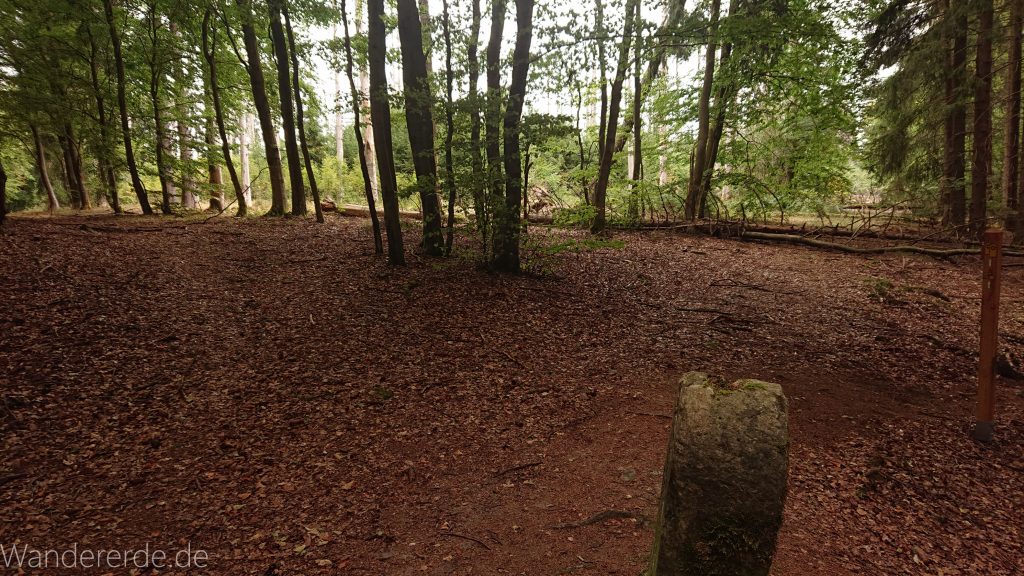 Von Frebershausen zum Quernst, zum Elisabetherplatz und zur Wolfsgrube, Wanderweg im schönen Wald im Nationalpark Kellerwald Edersee über naturbelassene Pfade, schöner Wald