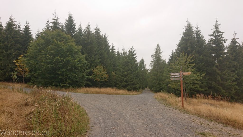 Von Frebershausen zum Quernst, zum Elisabetherplatz und zur Wolfsgrube, Wanderweg im schönen Wald im Nationalpark Kellerwald Edersee über naturbelassene Pfade, schöner Wald