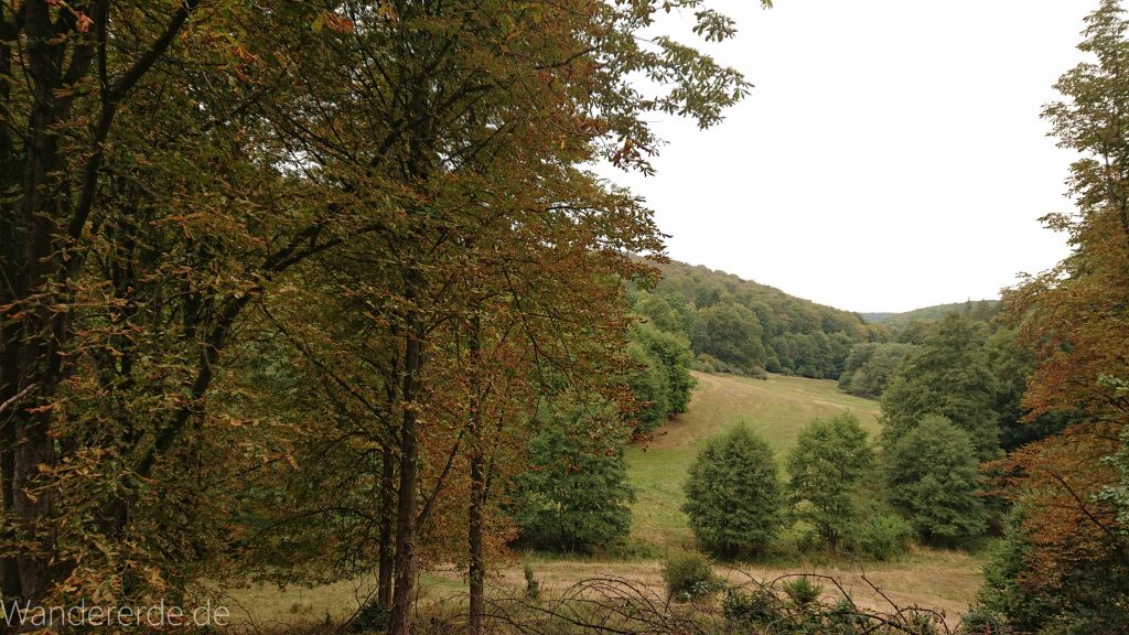 Von Frebershausen zum Quernst, zum Elisabetherplatz und zur Wolfsgrube, Wanderweg im schönen Wald im Nationalpark Kellerwald Edersee über naturbelassene Pfade, schöner Wald