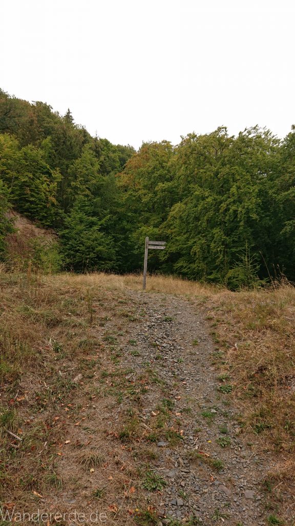 Von Frebershausen zum Quernst, zum Elisabetherplatz und zur Wolfsgrube, Wanderweg im schönen Wald im Nationalpark Kellerwald Edersee über naturbelassene Pfade, schöner Wald