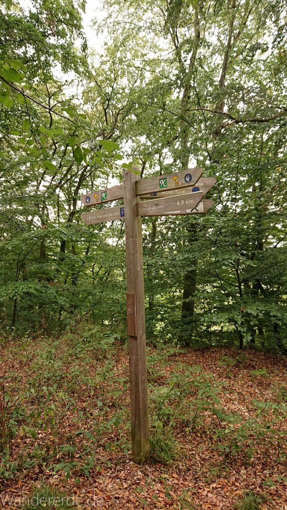 Wanderung bei Asel Süd im Nationalpark Kellerwald Edersee, Schild Wegweiser