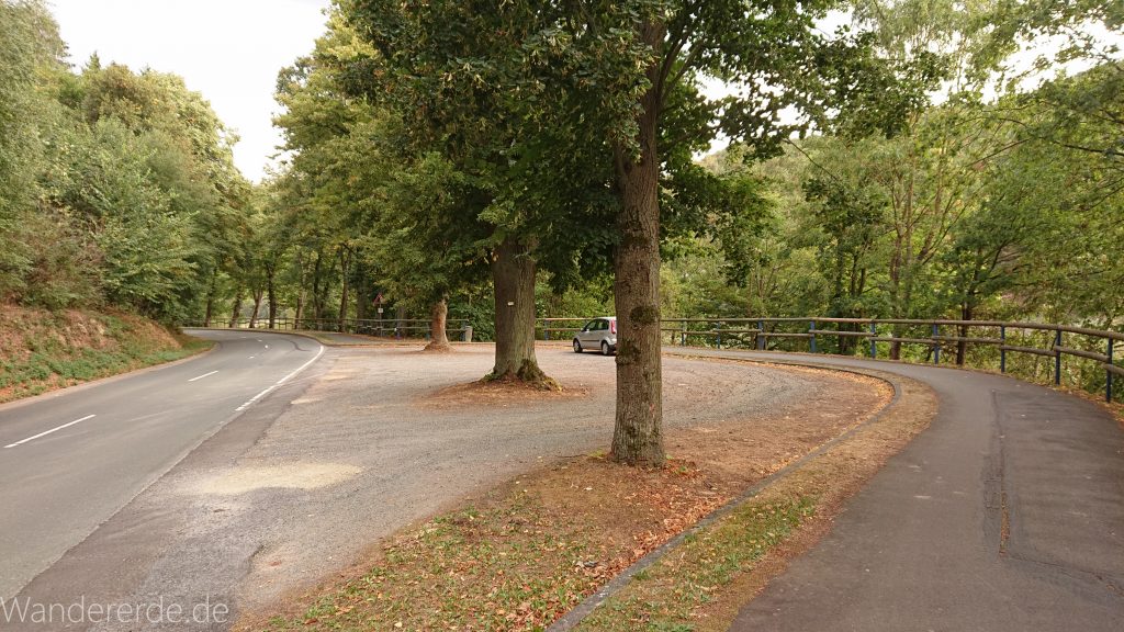 Wanderung um die Mühlecke, lohnenswerte kurze Wanderung über schmalen Pfad, tolle Aussicht, Krüppelbaum, schöne Lichtstimmung, saftig grüner Wald, Rundweg um Mühlecke, kleiner Berg