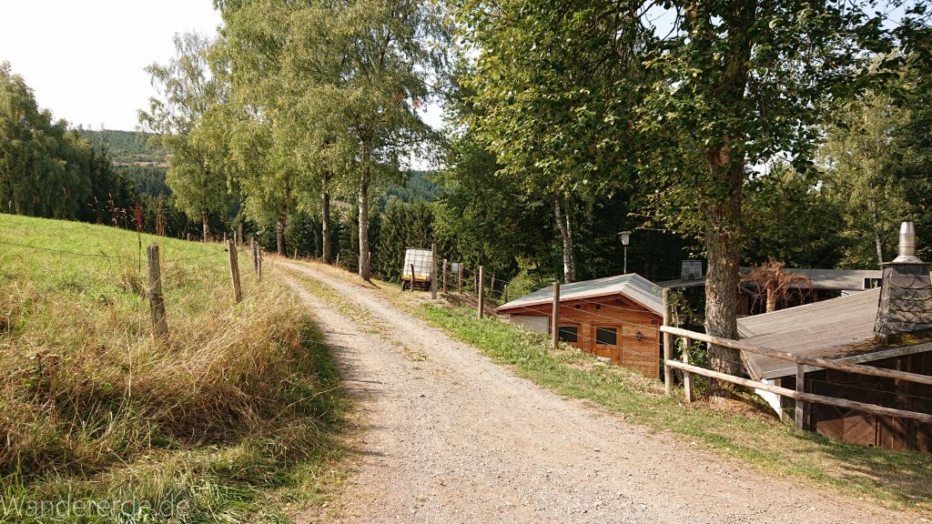 Kahler Asten-Steig, Wanderung auf den Berg Kahler Asten im Sauerland in Nordrhein-Westfalen