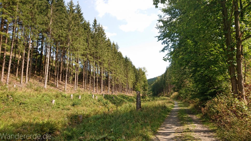 Kahler Asten-Steig, Wanderung auf den Berg Kahler Asten im Sauerland in Nordrhein-Westfalen