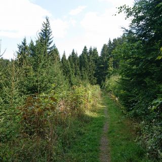 Kahler Asten-Steig, Wanderung auf den Berg Kahler Asten im Sauerland in Nordrhein-Westfalen