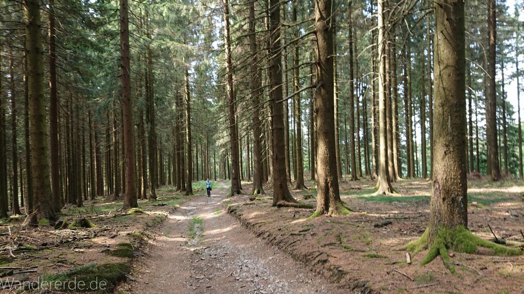 Kahler Asten-Steig, Wanderung auf den Berg Kahler Asten im Sauerland in Nordrhein-Westfalen