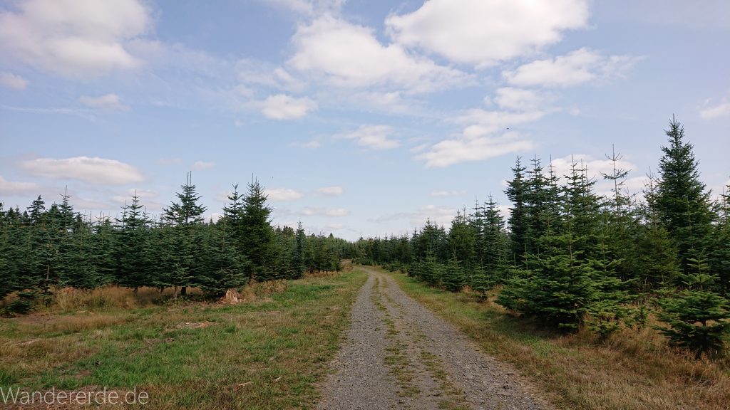 Kahler Asten-Steig, Wanderung auf den Berg Kahler Asten im Sauerland in Nordrhein-Westfalen