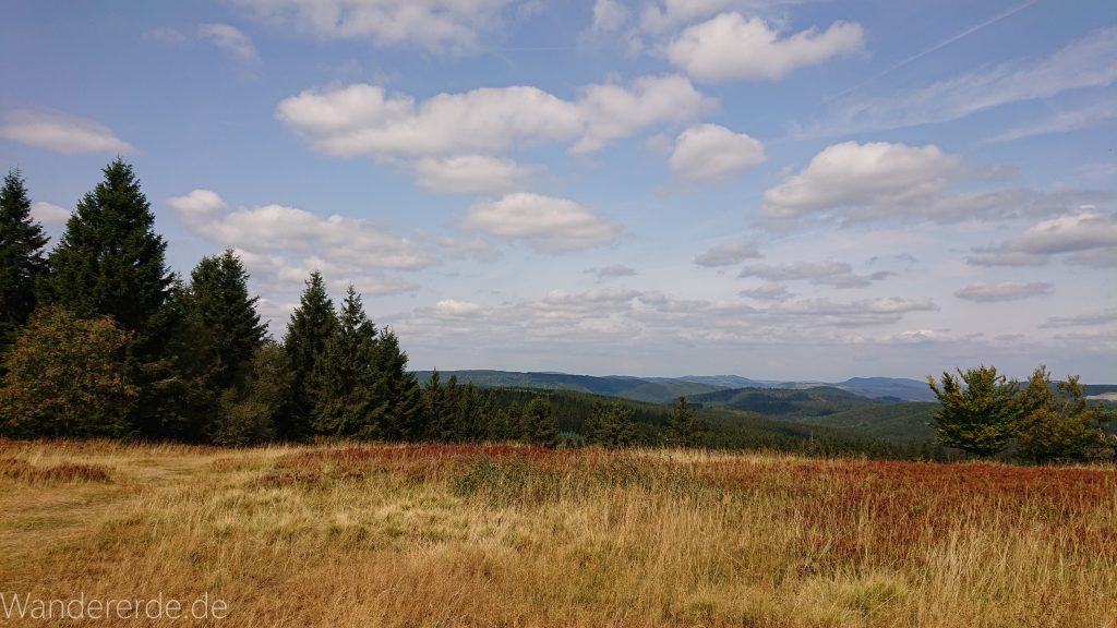 Kahler Asten-Steig, Wanderung auf den Berg Kahler Asten im Sauerland in Nordrhein-Westfalen, Aussicht vom Gipfel des Kahlen Astens