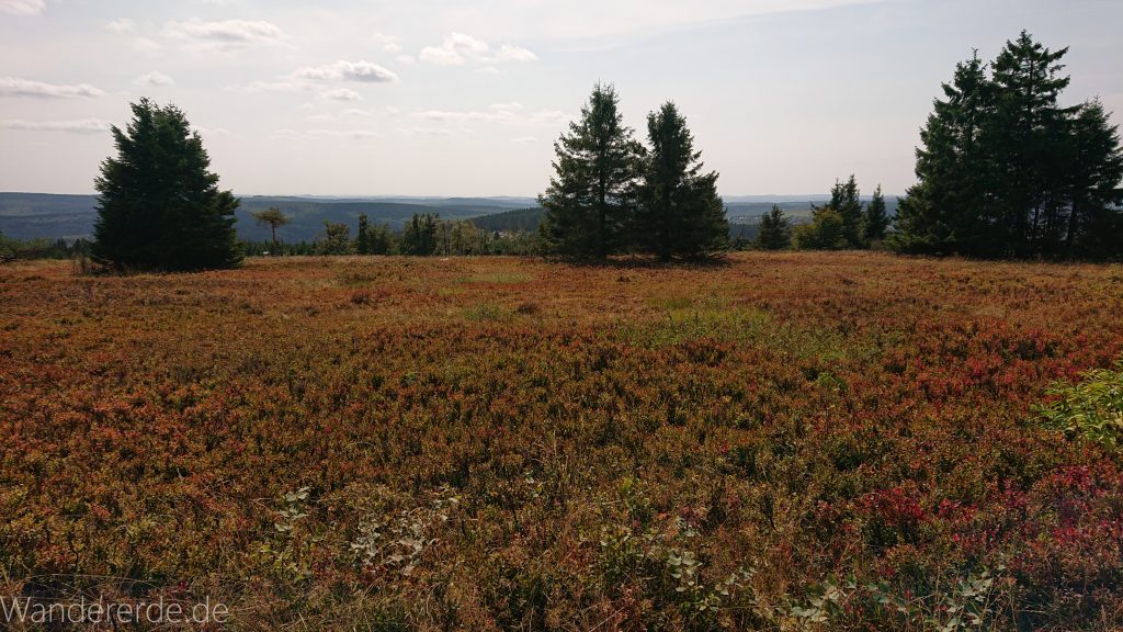 Kahler Asten-Steig, Wanderung auf den Berg Kahler Asten im Sauerland in Nordrhein-Westfalen, Aussicht vom Gipfel des Kahlen Astens