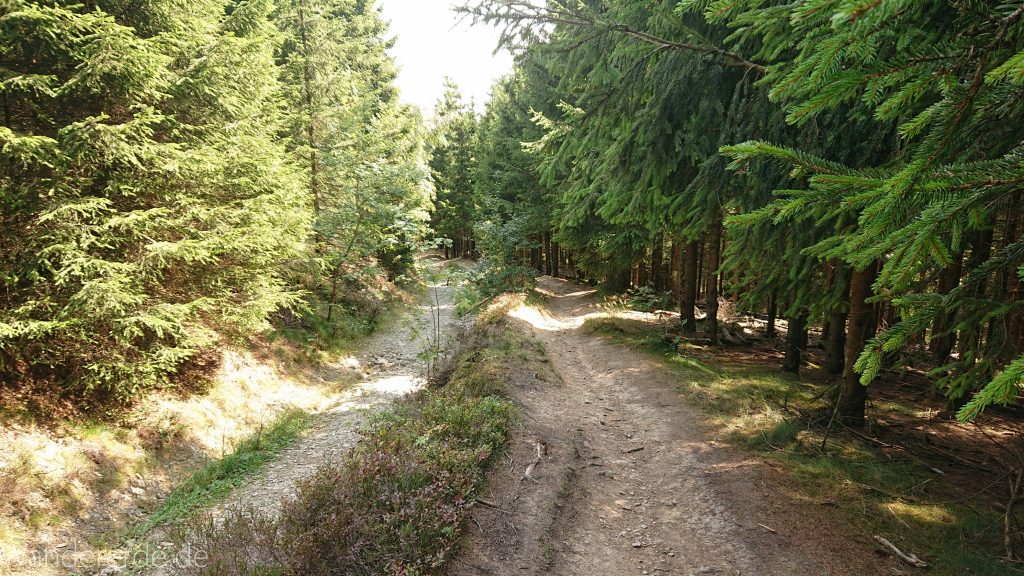 Kahler Asten-Steig, Wanderung auf den Berg Kahler Asten im Sauerland in Nordrhein-Westfalen