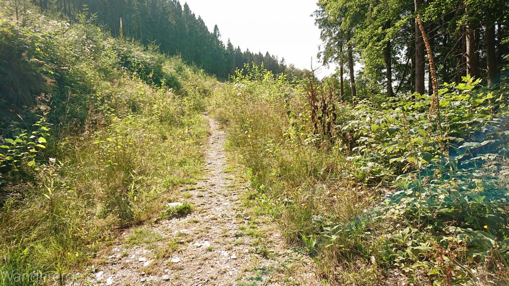 Kahler Asten-Steig, Wanderung auf den Berg Kahler Asten im Sauerland in Nordrhein-Westfalen