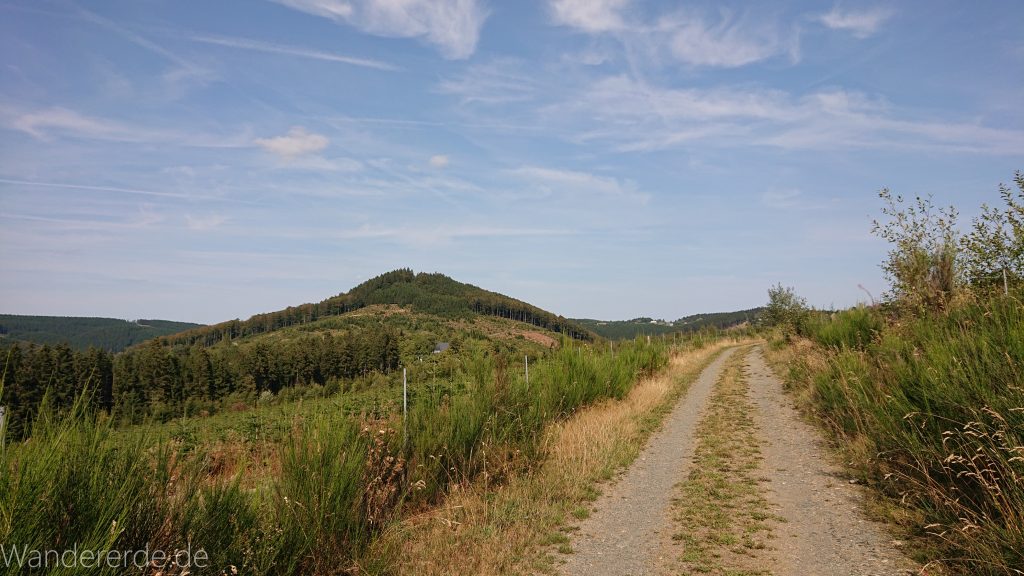 Kahler Asten-Steig, Wanderung auf den Berg Kahler Asten im Sauerland in Nordrhein-Westfalen