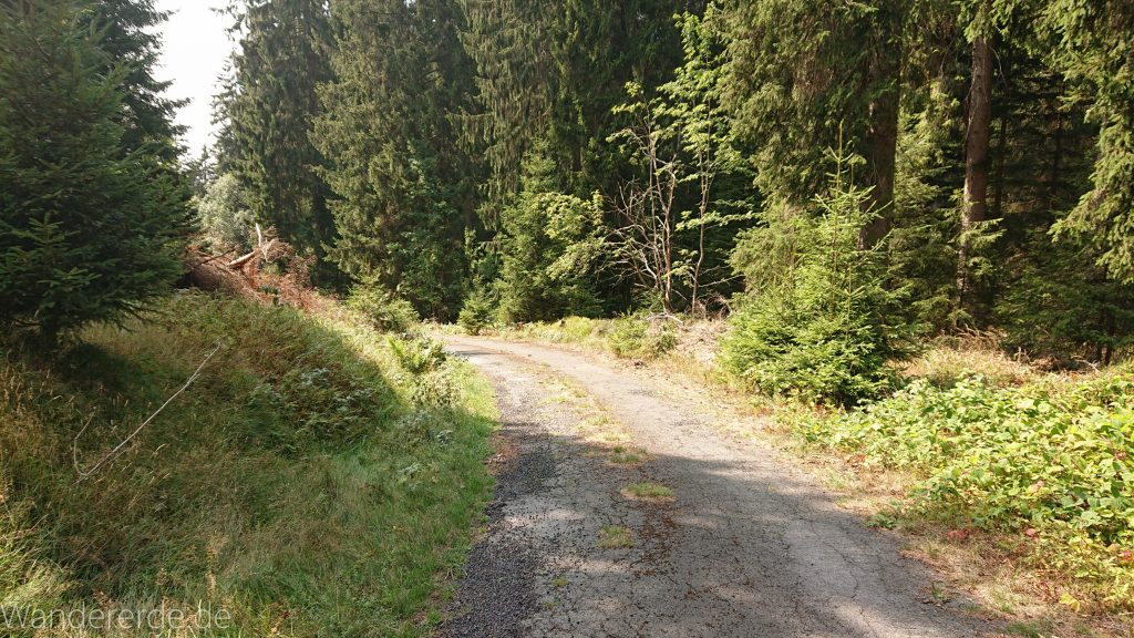 Dreibrodesteine Wanderung im Harz bei Sankt Andreasberg