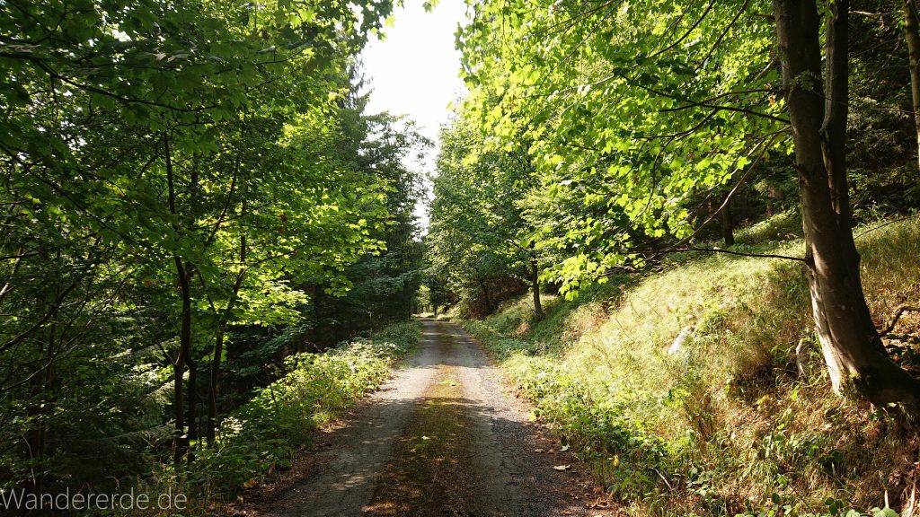 Dreibrodesteine Wanderung im Harz bei Sankt Andreasberg