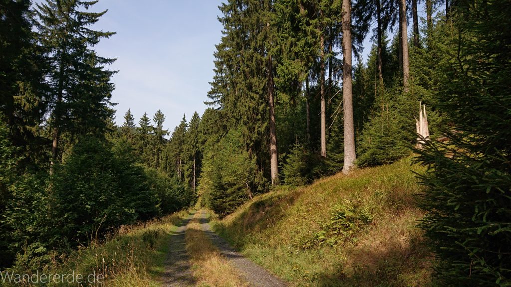 Dreibrodesteine Wanderung im Harz bei Sankt Andreasberg
