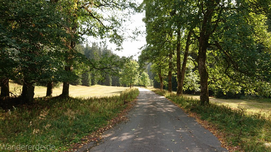 Dreibrodesteine Wanderung im Harz bei Sankt Andreasberg