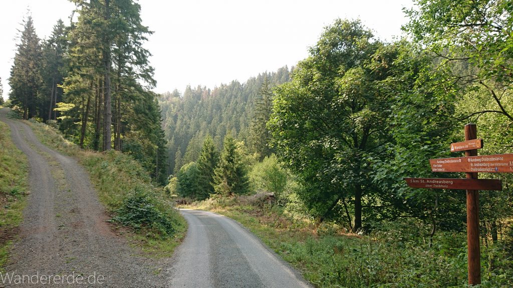 Dreibrodesteine Wanderung im Harz bei Sankt Andreasberg