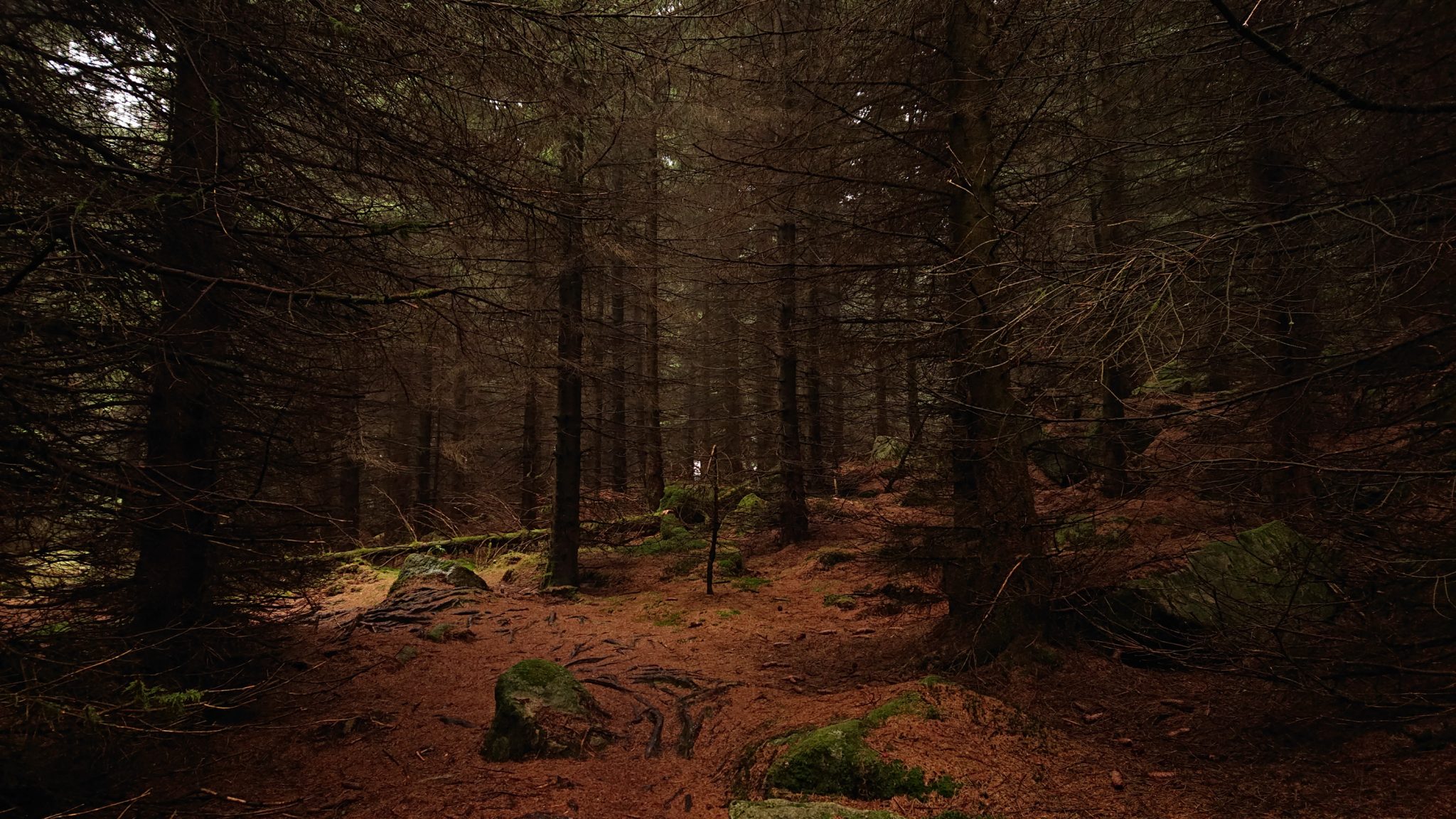 Wanderung Brocken über Heinrich-Heine-Weg Start in Ilsenburg, Nationalpark Harz