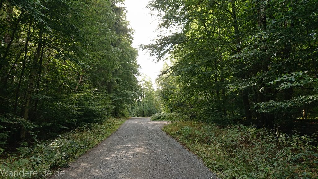 Von Bad Harzburg zur Rabenklippe und durchs Eckertal, Wanderung im Harz in Niedersachsen