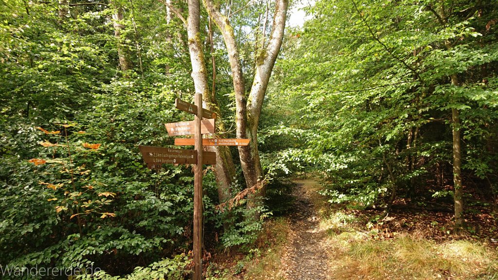 Von Bad Harzburg zur Rabenklippe und durchs Eckertal, Wanderung im Harz in Niedersachsen, Wegweiser Schild mit Wanderzielen