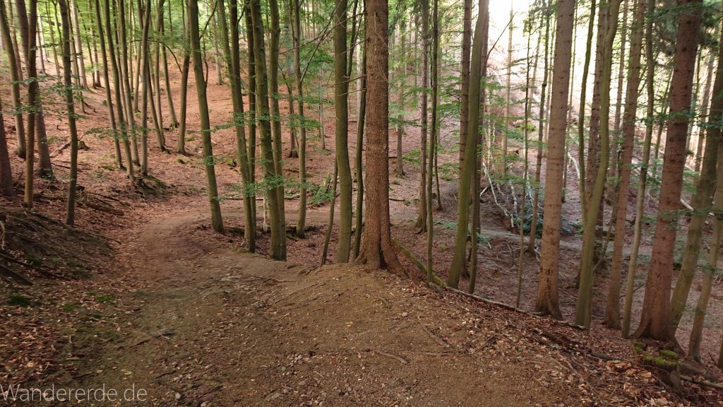 Von Bad Harzburg zur Rabenklippe und durchs Eckertal, Wanderung im Harz in Niedersachsen