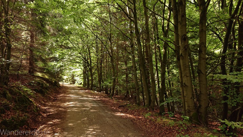 Von Bad Harzburg zur Rabenklippe und durchs Eckertal, Wanderung im Harz in Niedersachsen