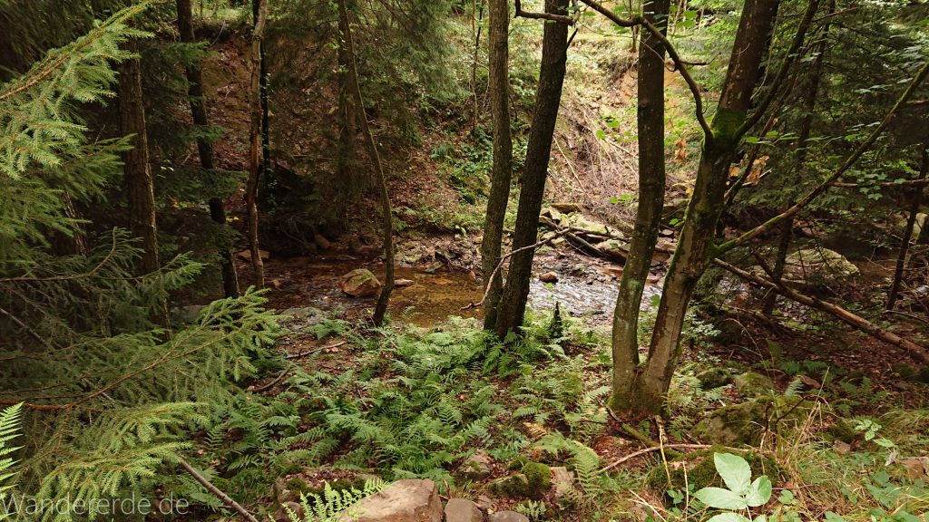 Von Bad Harzburg zur Rabenklippe und durchs Eckertal, Wanderung im Harz in Niedersachsen