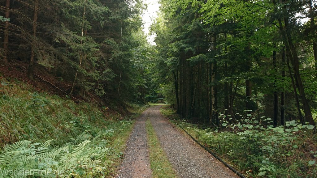 Von Bad Harzburg zur Rabenklippe und durchs Eckertal, Wanderung im Harz in Niedersachsen