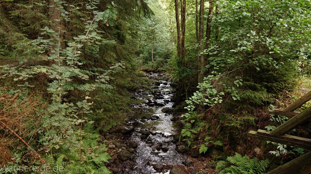 Von Bad Harzburg zur Rabenklippe und durchs Eckertal, Wanderung im Harz in Niedersachsen, im schönen idyllischen Eckertal