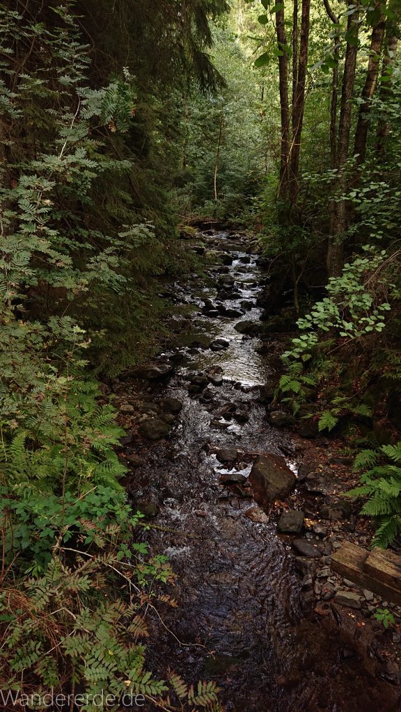 Von Bad Harzburg zur Rabenklippe und durchs Eckertal, Wanderung im Harz in Niedersachsen, im schönen idyllischen Eckertal