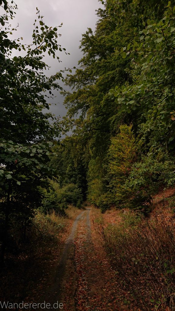 Von Bad Harzburg zur Rabenklippe und durchs Eckertal, Wanderung im Harz in Niedersachsen