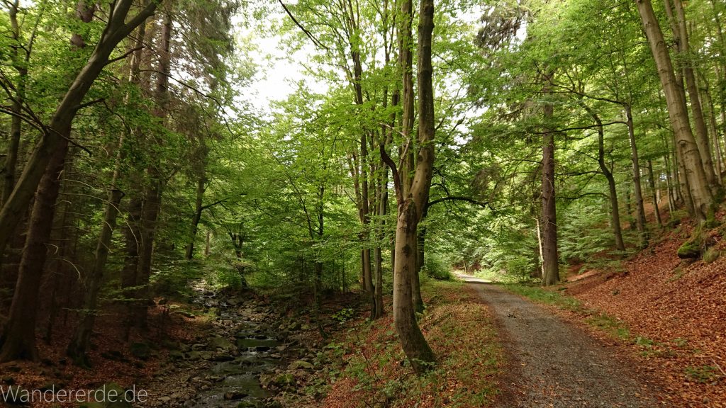 Von Bad Harzburg zur Rabenklippe und durchs Eckertal, Wanderung im Harz in Niedersachsen