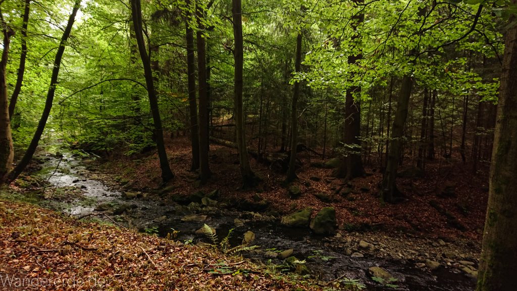Von Bad Harzburg zur Rabenklippe und durchs Eckertal, Wanderung im Harz in Niedersachsen, im schönen idyllischen Eckertal