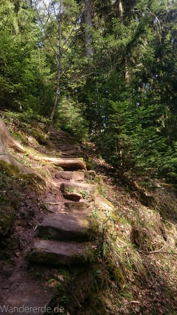 Genießerpfad, der Teinacher, Die Mathildenstaffeln beim Teinacher