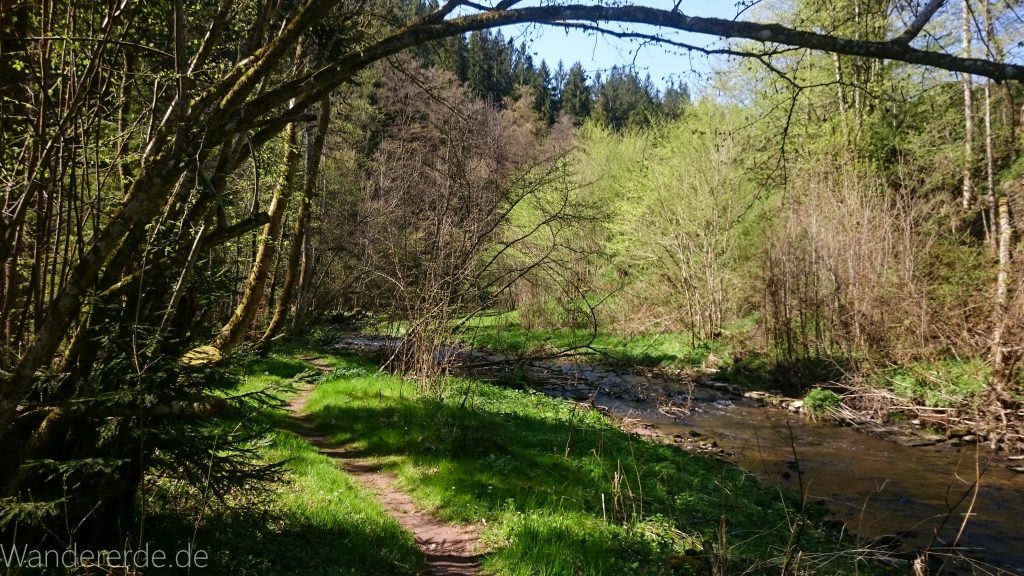 Genießerpfad, der Teinacher, naturbelassener Pfad über Wiese am Fluß entlang, Wald, Bäume
