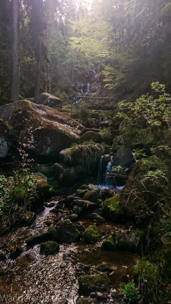 Gertelbach Wasserfälle, umringt von schönem Wald, Sonne glitzert im Wasser