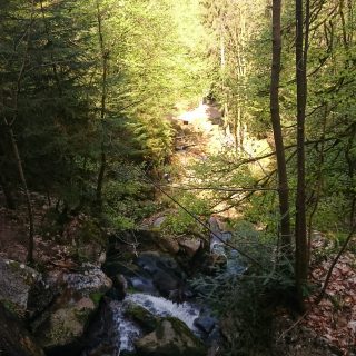 Gertelbach Wasserfälle, umringt von schönem Wald