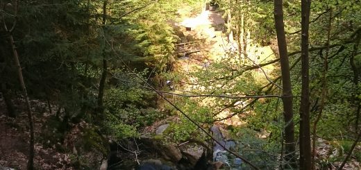 Gertelbach Wasserfälle, umringt von schönem Wald