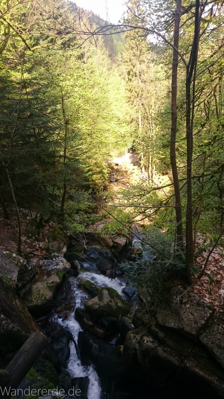 Gertelbach Wasserfälle, umringt von schönem Wald