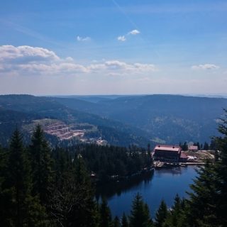 Mummelsee Hornisgrinde - Genießerpfad, Ausicht auf Mummelsee und umliegende Wälder