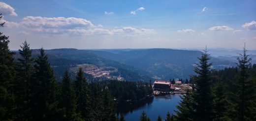 Mummelsee Hornisgrinde - Genießerpfad, Ausicht auf Mummelsee und umliegende Wälder