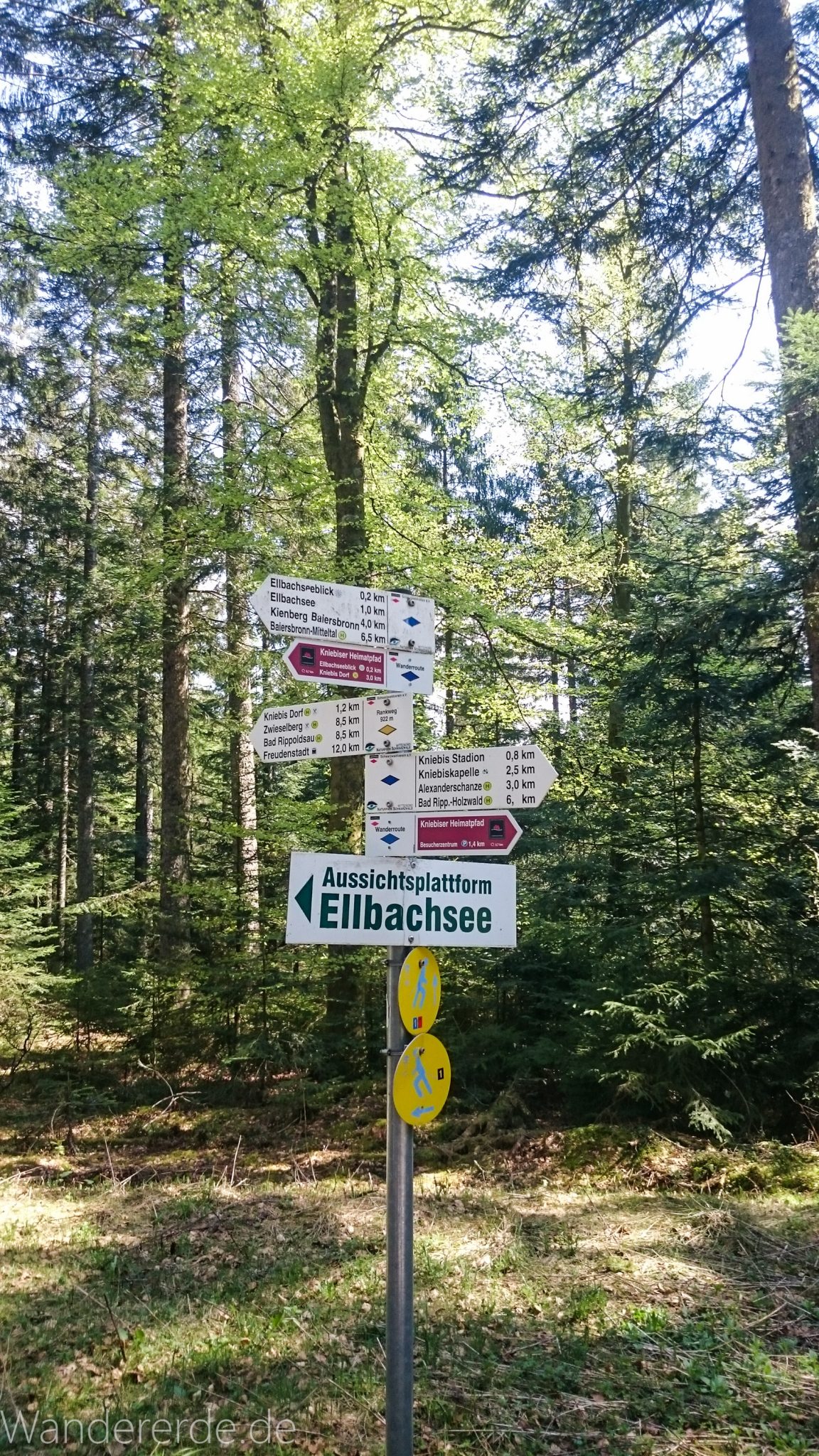 Kniebiser Heimatpfad - Genießerpfad, Wegweiser Schild zur Aussichtsplattform Ellbachsee