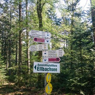 Kniebiser Heimatpfad - Genießerpfad, Wegweiser Schild zur Aussichtsplattform Ellbachsee