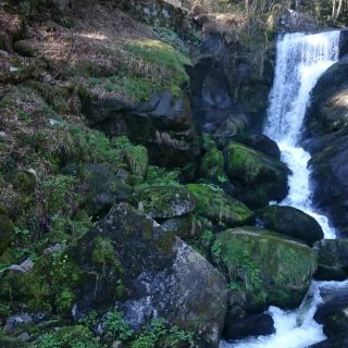 Die Triberger Wasserfälle, große Steine, umringt von schönem Wald