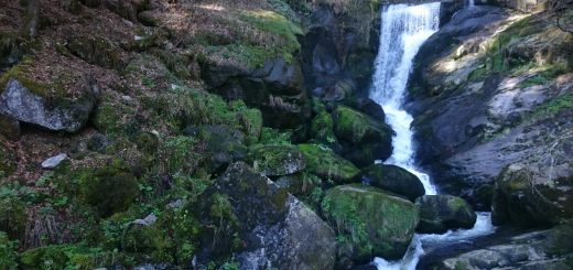 Die Triberger Wasserfälle, große Steine, umringt von schönem Wald