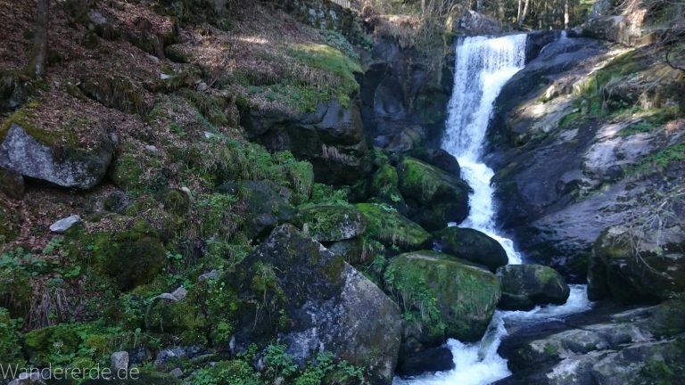 Die Triberger Wasserfälle, große Steine, umringt von schönem Wald